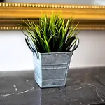 Maison Destieu Pensionat 4*