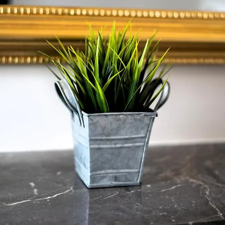 Maison Destieu 招待所 4*