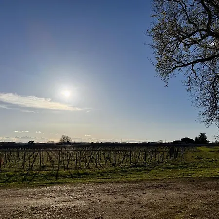 招待所 Maison Destieu Saint-Sulpice-de-Faleyrens