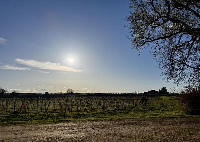 招待所 Maison Destieu Saint-Sulpice-de-Faleyrens